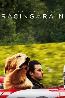 The Art of Racing in the Rain