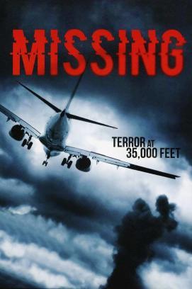 Missing - The last Flight