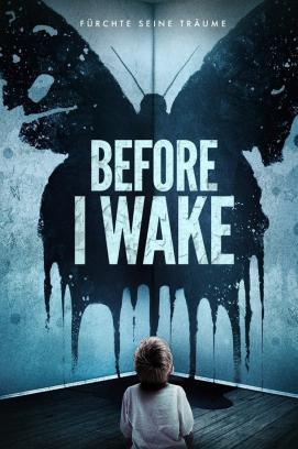 Before I Wake