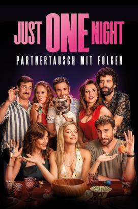 Just One Night - Partnertausch mit Folgen